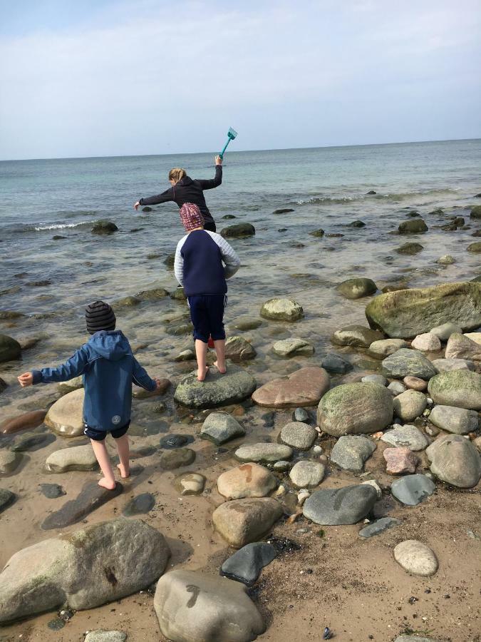 Hirtshals Camping Екстер'єр фото